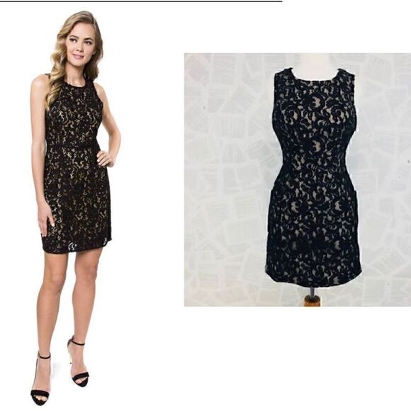 Tart Collections Dresses & Skirts - NWT Tart  Collections Black  Lace  Sheath Dress Small